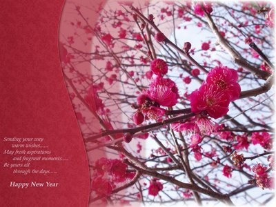 happy new year greetings poems